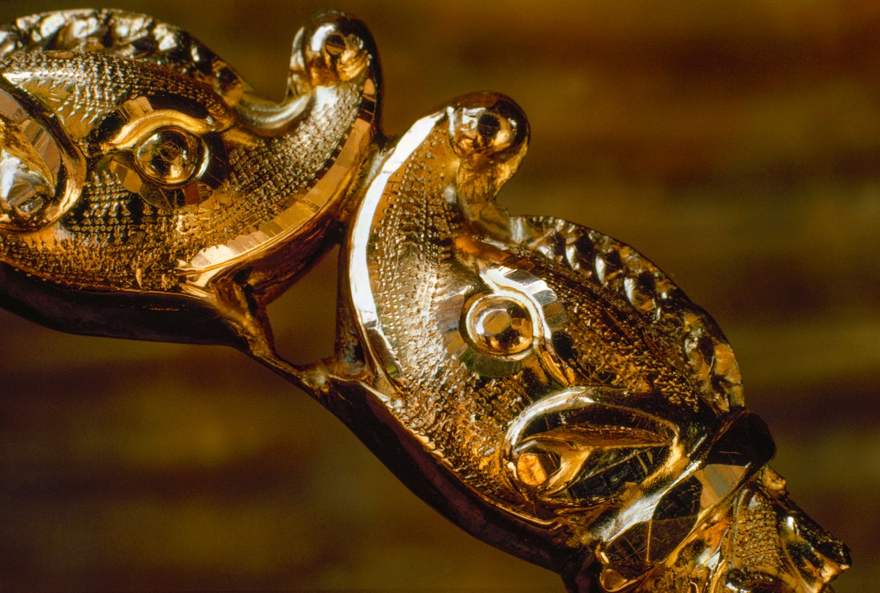 Een handgemaakte gouden armband met twee botsende haaienkoppen. Zuid-Amerika door James L Stanfield