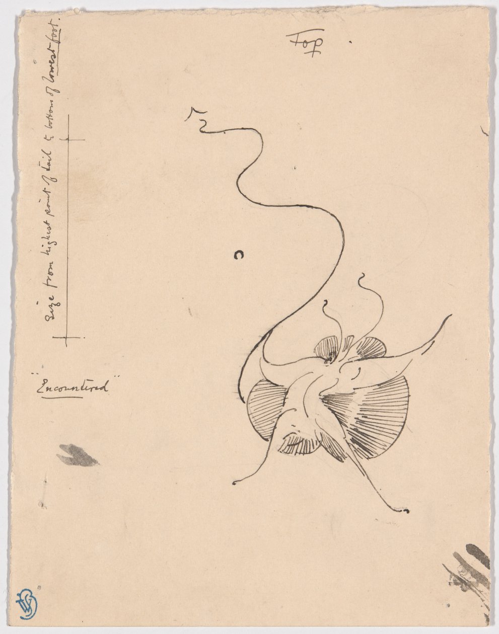 Vlinder "Encountered" (recto); Schets voor staartstuk (verso) door James McNeill Whistler