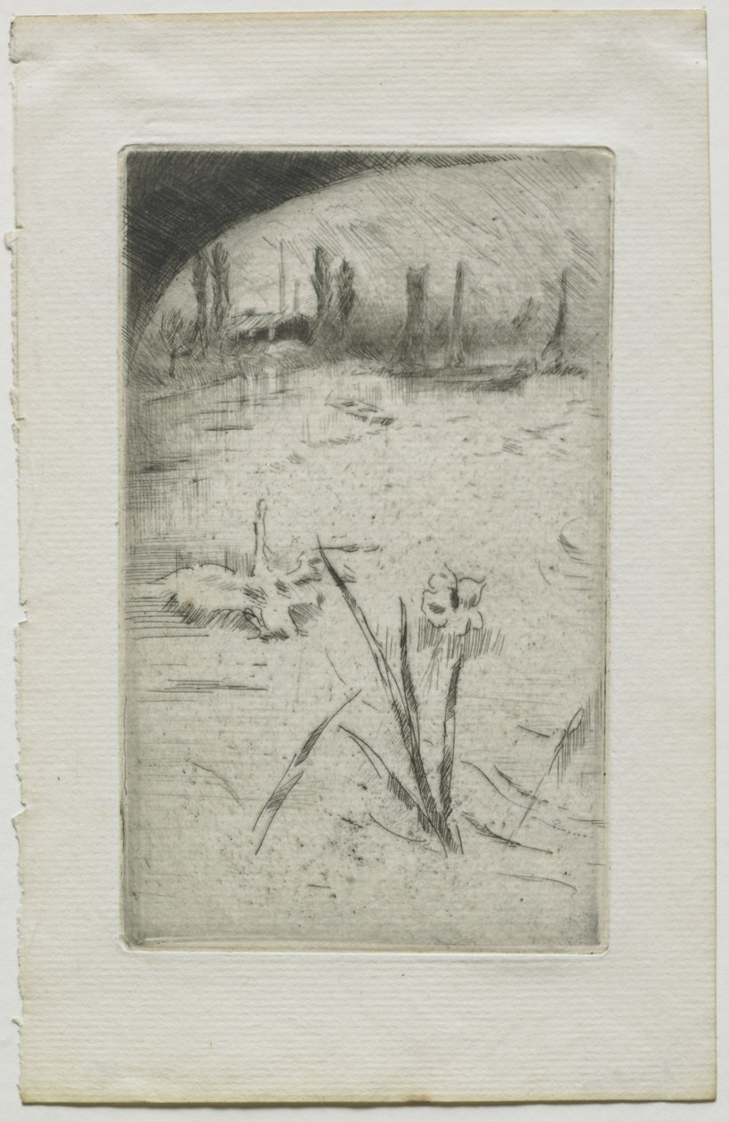 Zwaan en iris door James McNeill Whistler
