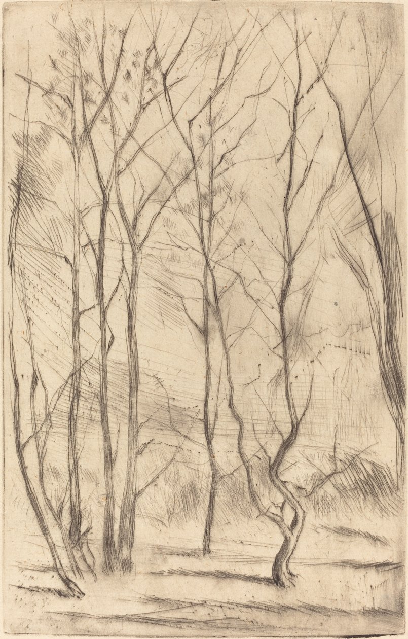 Het Damhout door James Abbott McNeill Whistler