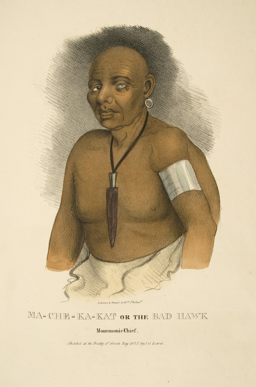 Ma-che-ka-kat of de Slechte Havik door James Otto Lewis