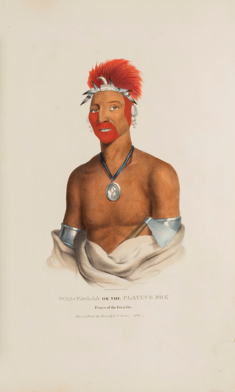 WAA-PA-LAA of de Spelende Vos; Prins van de Vossenstam, uit de Aboriginal Portfolio door James Otto Lewis