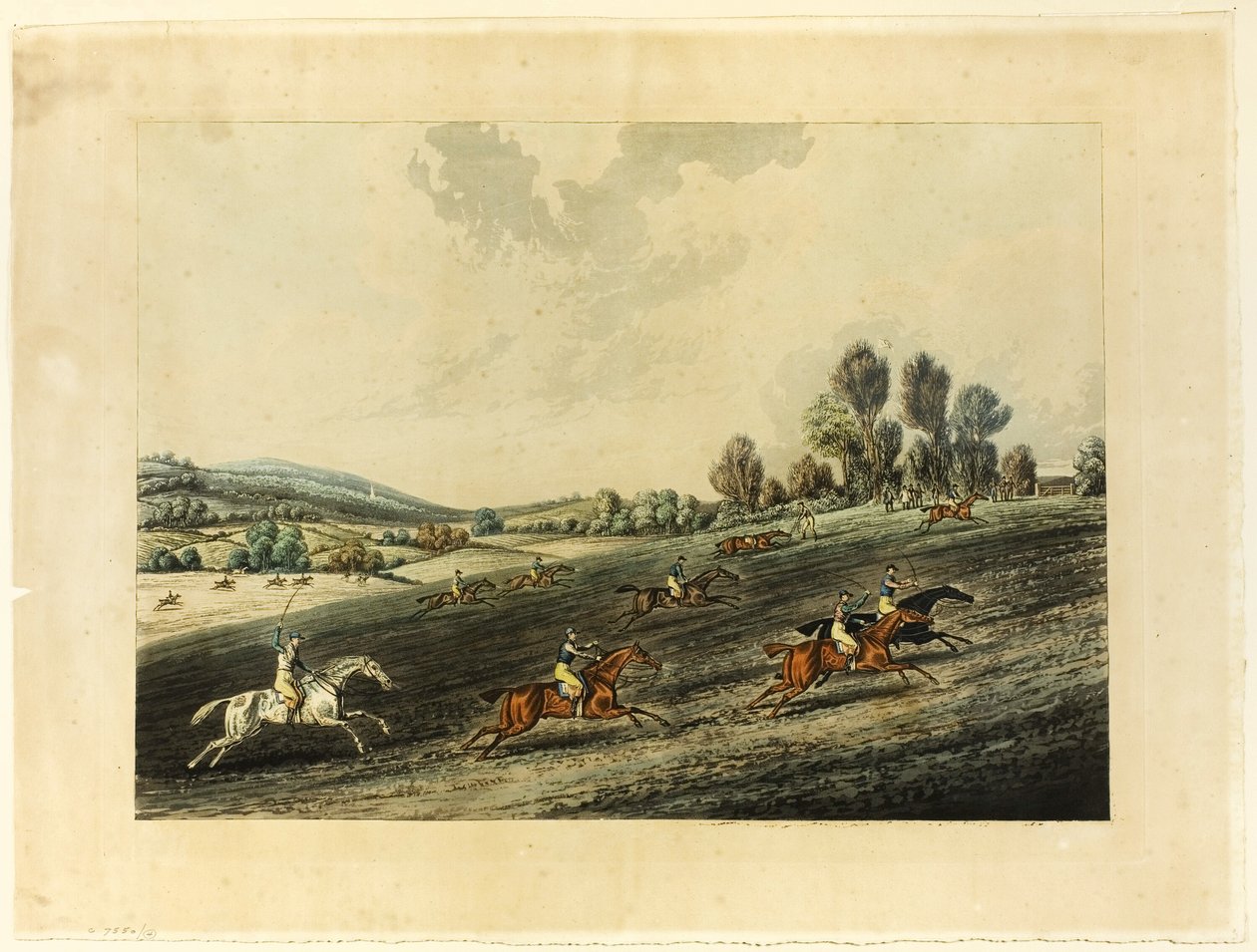 Saint Albans Grote Steeple Chase door James Pollard