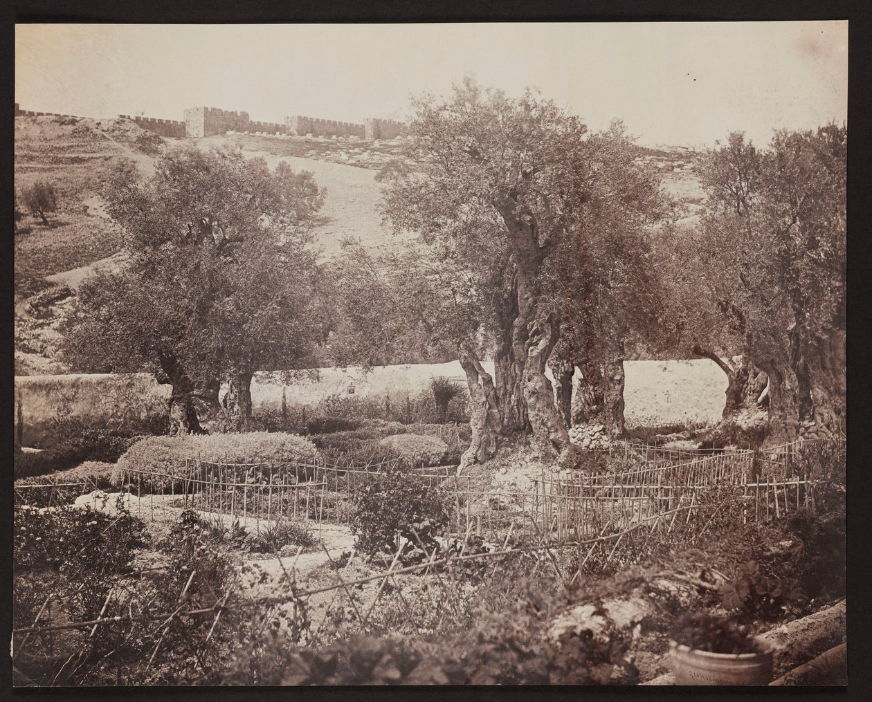 Getsemane [Jeruzalem. Olijfberg] door James Robertson