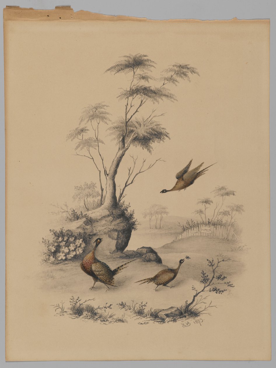 Drie fazanten, 1873 door James Ryder van Brunt