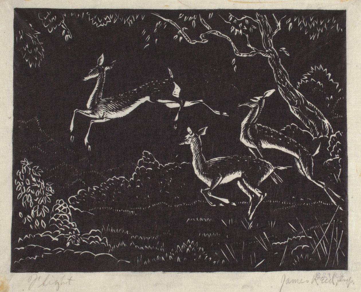 Vlucht door James W. Reid