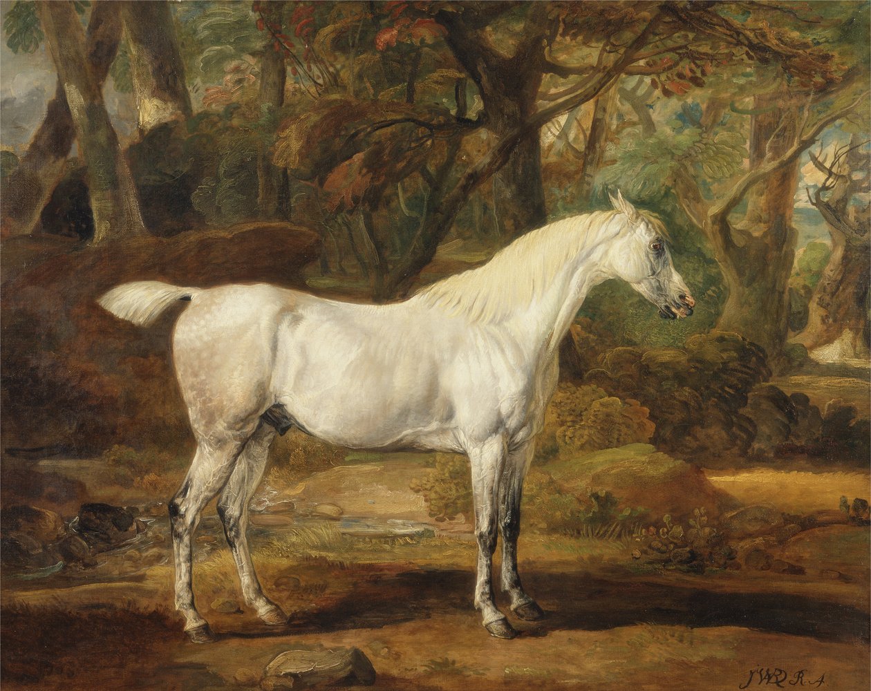 Een grijze Arabische hengst, eigendom van Sir Watkin Williams-Wynn, ca. 1815-20 door James Ward