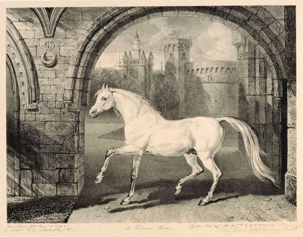 Een Perzisch paard, uit 