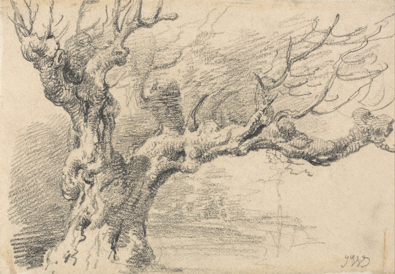 Een oude eikenboom door James Ward