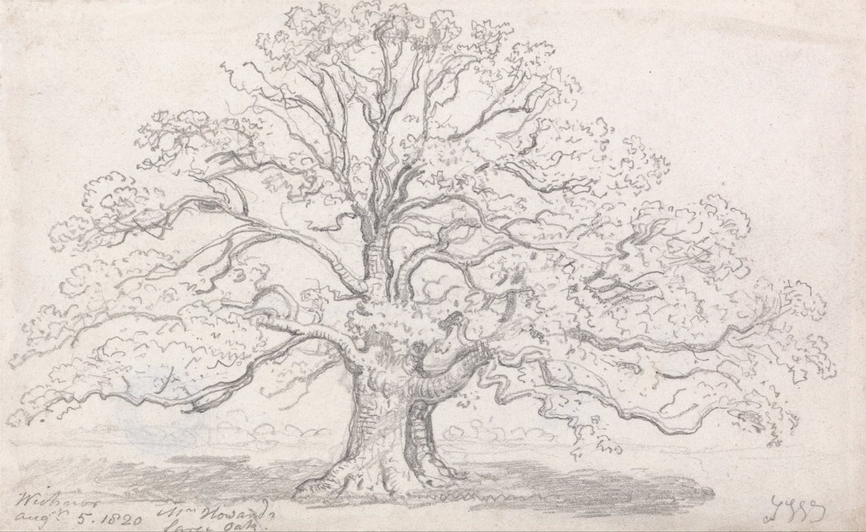 De Grote Eik van Meneer Howard, 5 Augustus 1820 door James Ward