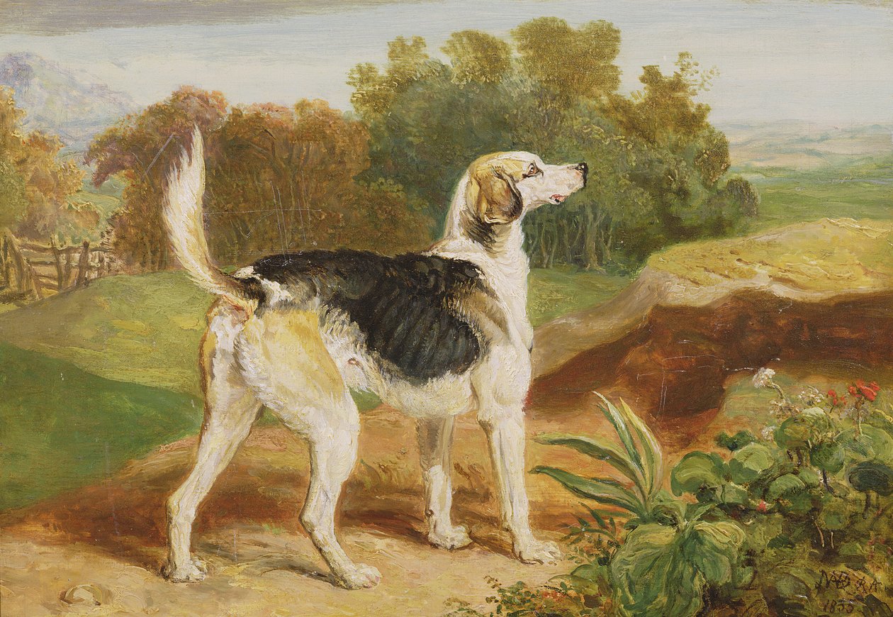Ravager, een van de Lambton-honden door James Ward