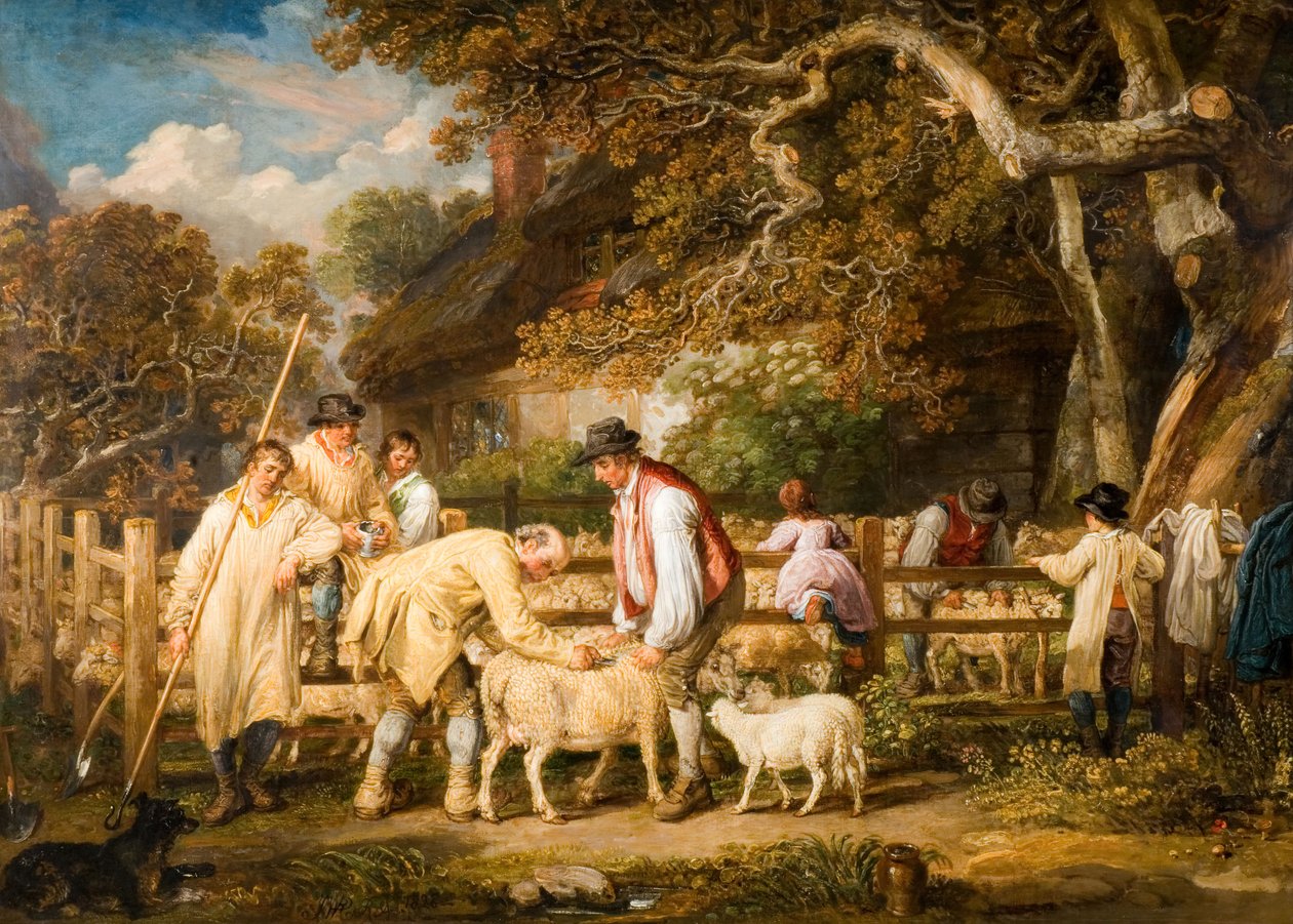 Schapen Zalven, 1828 door James Ward