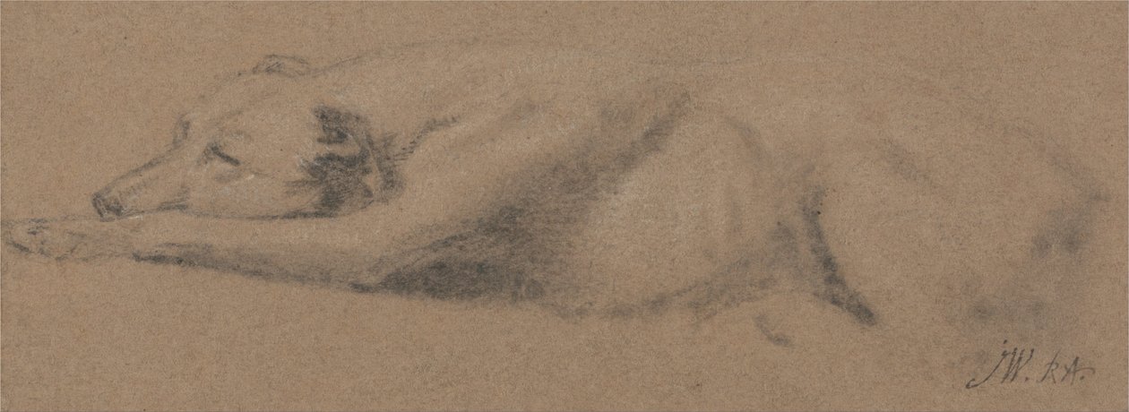 Studie van een slapende hond door James Ward