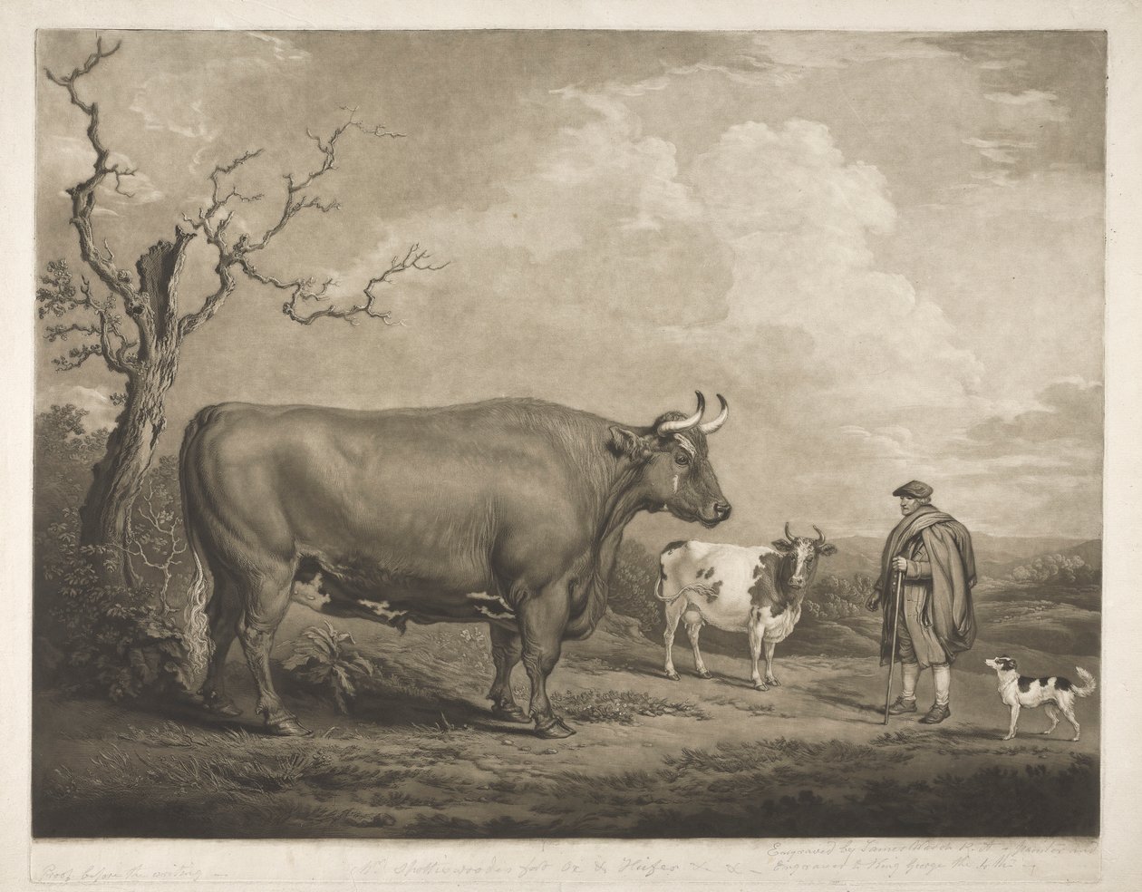 De Spottiswoode Os door James Ward