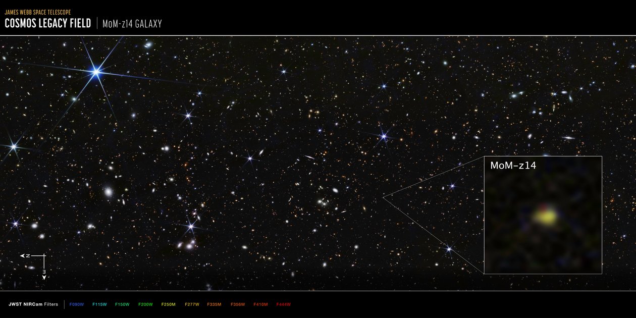 COSMOS-veld, sterrenstelsel op MoM-z14 (opname met NIRCam) door James Webb Space Telescope (NASA)