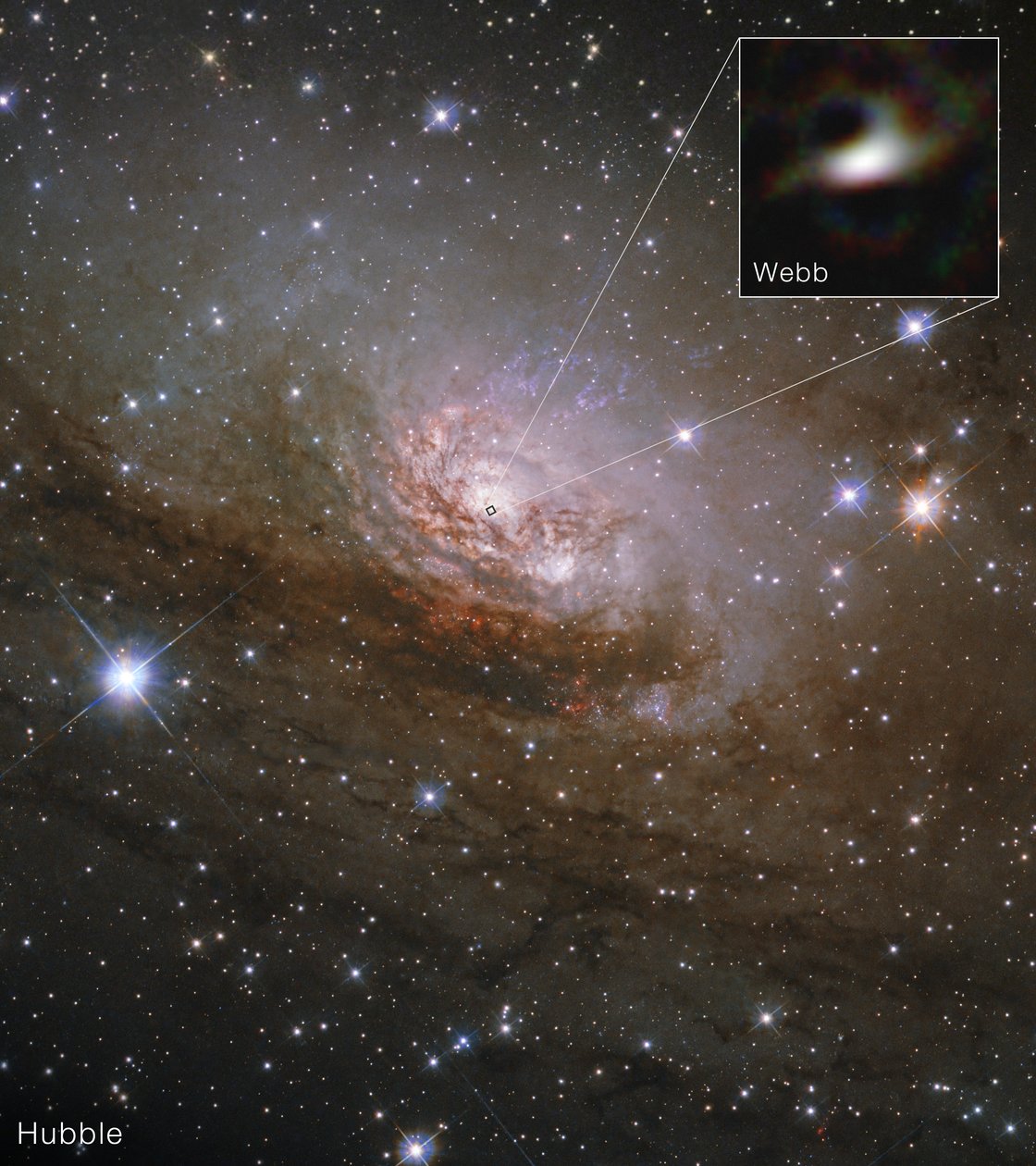 Circinus-sterrenstelsel (Hubble en Webb) door James Webb Space Telescope (NASA)