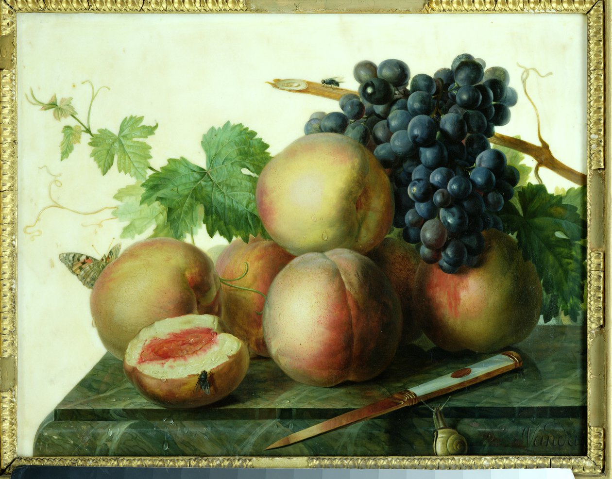 Stilleven met Perziken en Druiven op Marmer door Jan Frans van Dael