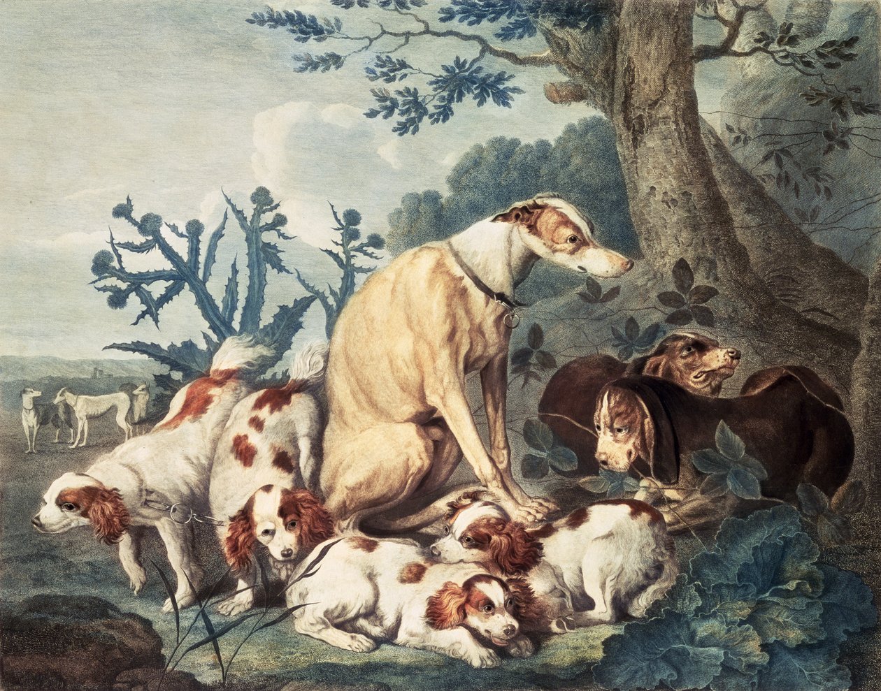 Portretten van honden, gegraveerd door Daniel Lerpiniere, uitgegeven door John en Josiah Boydell, 1799 door Jan Fyt
