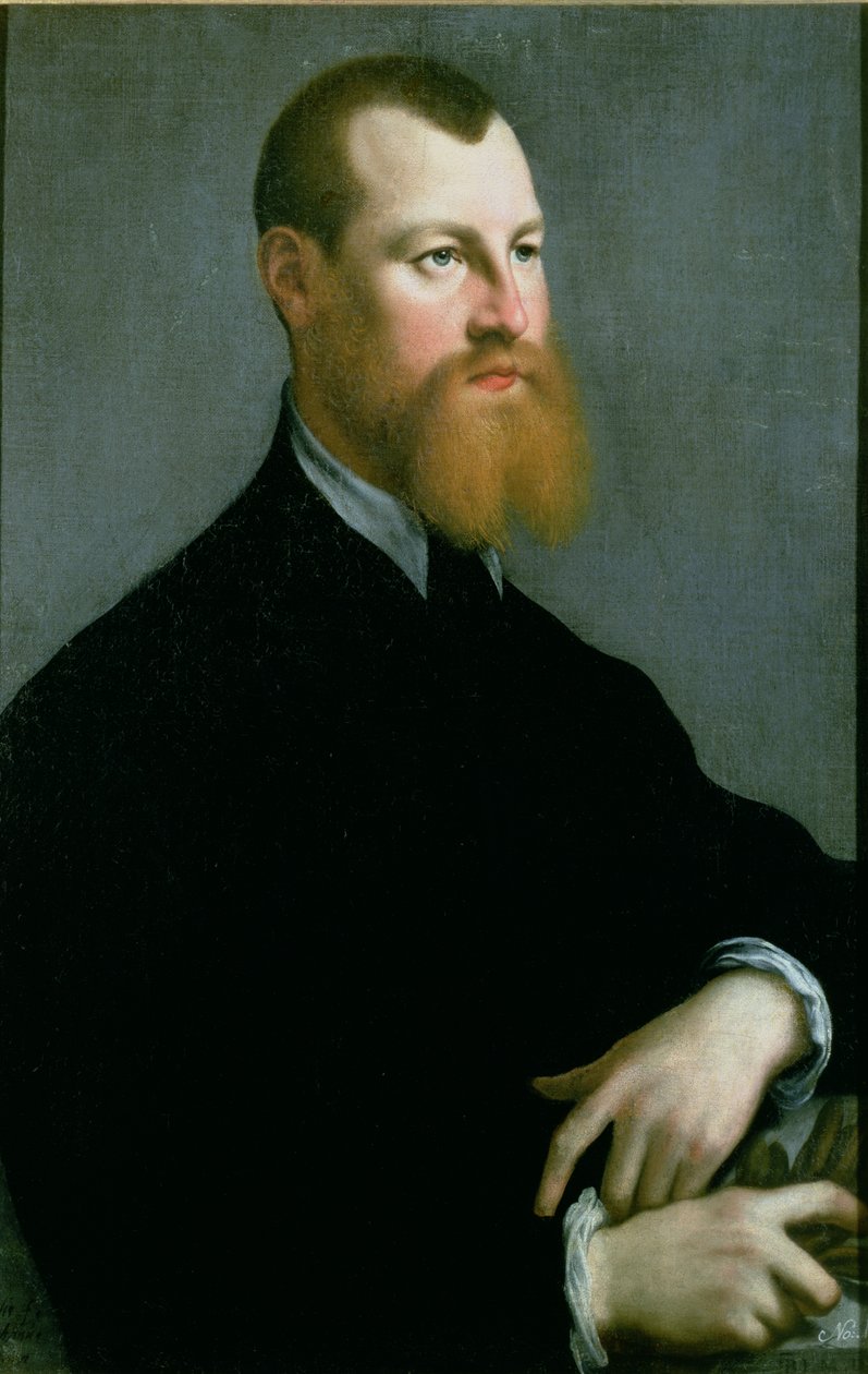 Portret van een man met een rossige baard, 16e eeuw door Jan Stephen van Calcar