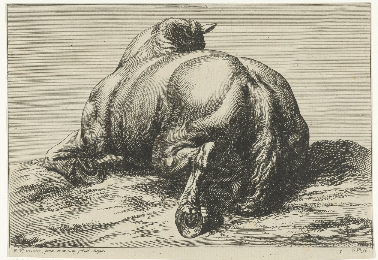 Een paard liggend op zijn buik gezien van achteren door Jan van Huchtenburgh