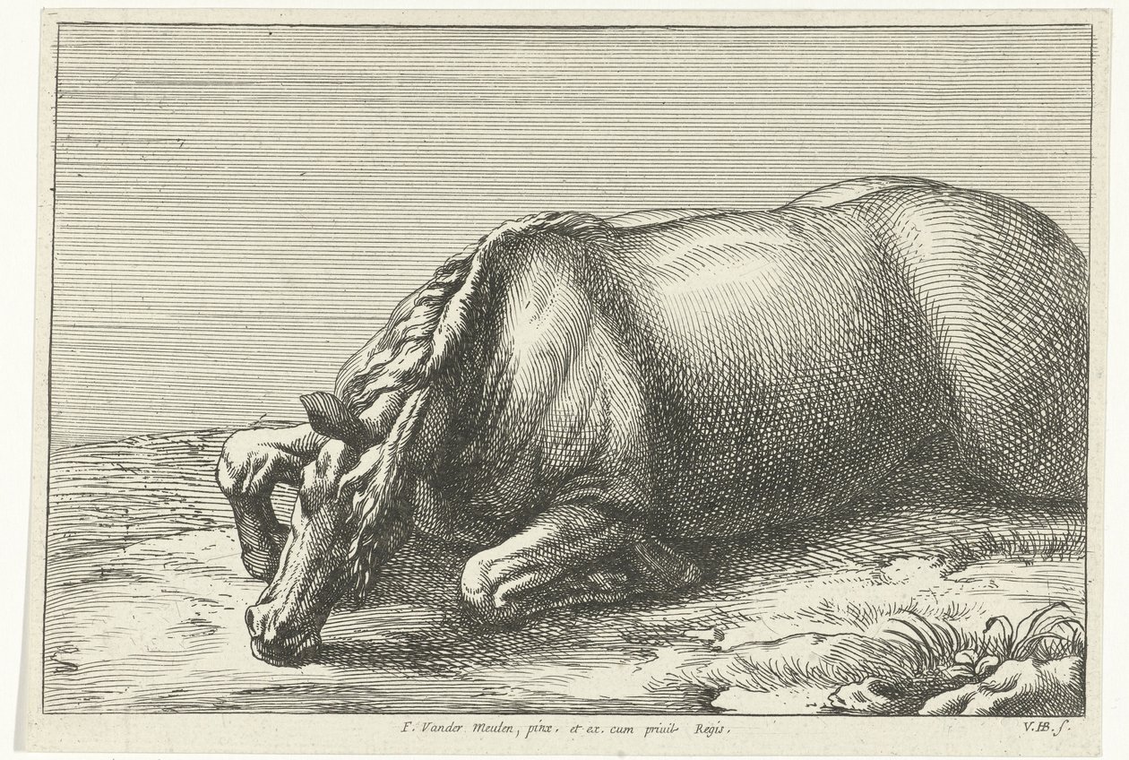 Gedood paard gezien vanaf de linkerkant door Jan van Huchtenburgh