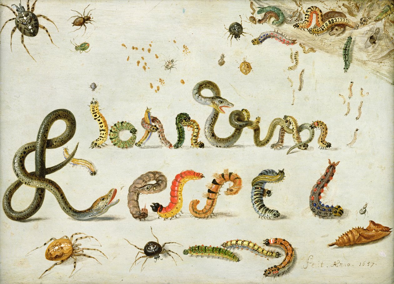 Tuin- en andere spinnen, rupsen spellen de naam van de kunstenaar, 1657 door Jan van Kessel the Elder