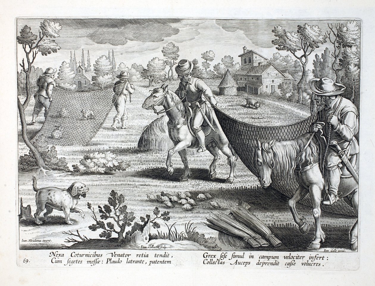 Vangen van kwartels, illustratie uit 