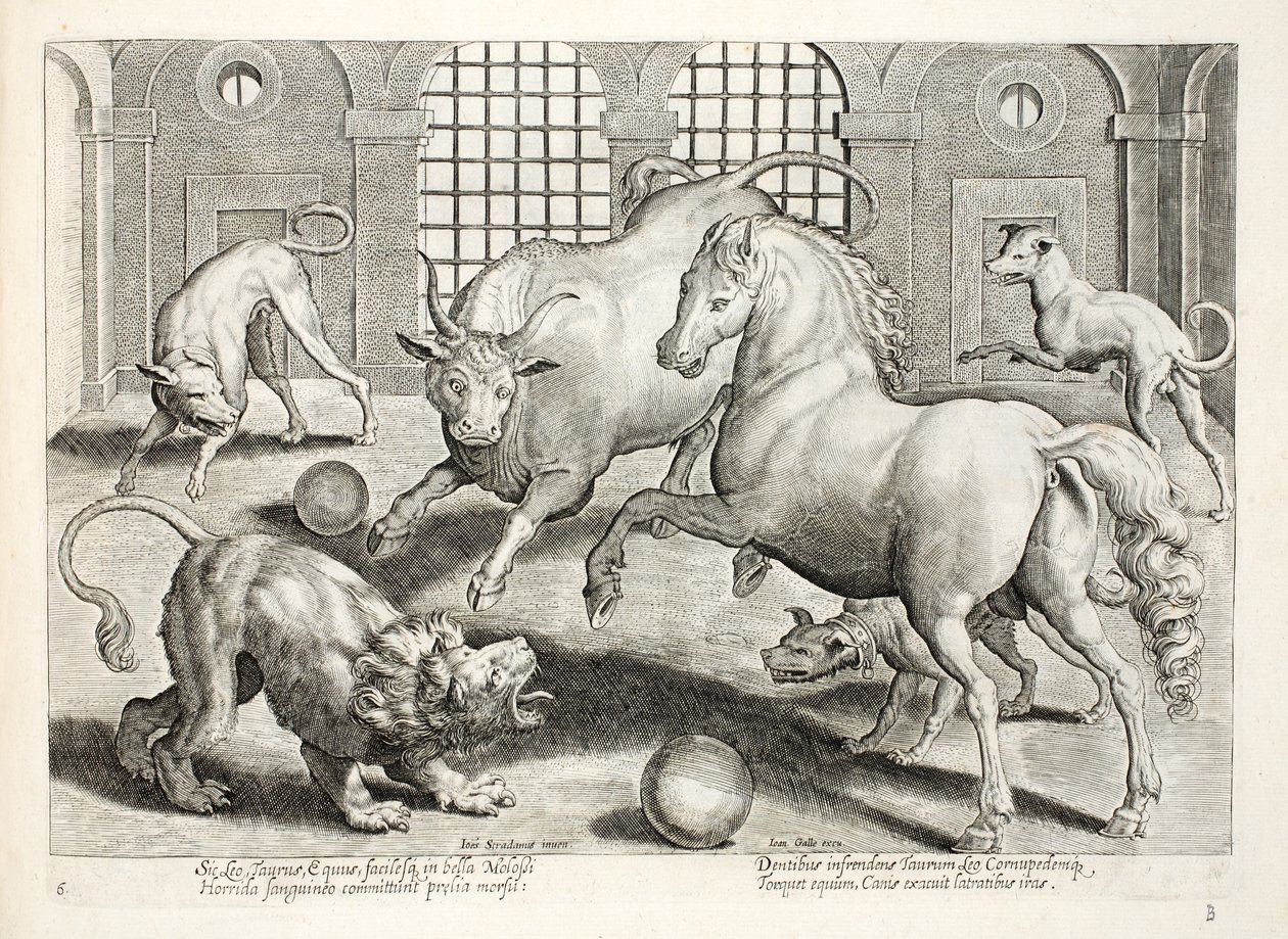 Hevige, bloedige strijd tussen een leeuw, stier en paard, omringd door boze blaffende honden, illustratie uit 