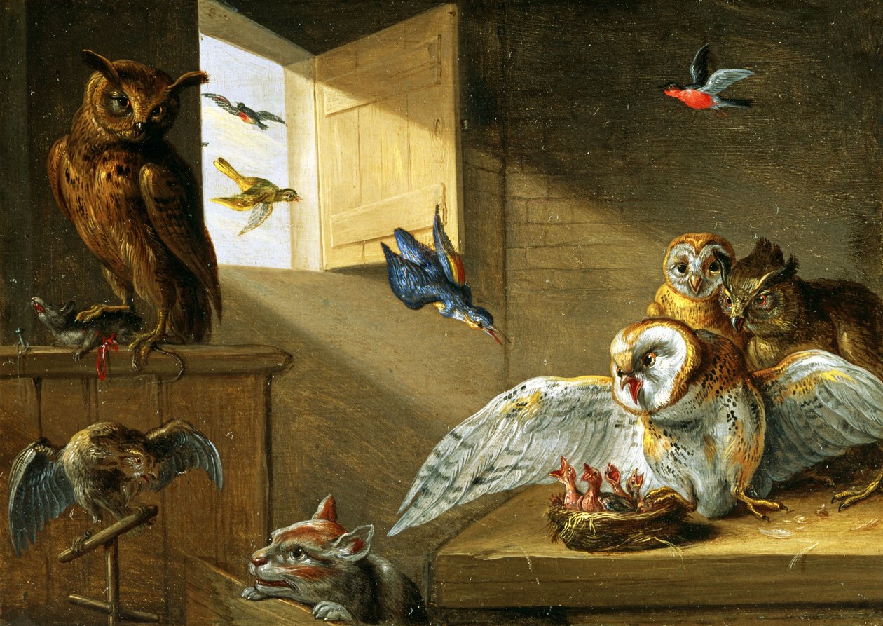 Een familie uilen, andere vogels en een kat door Jan van Kessel the Elder