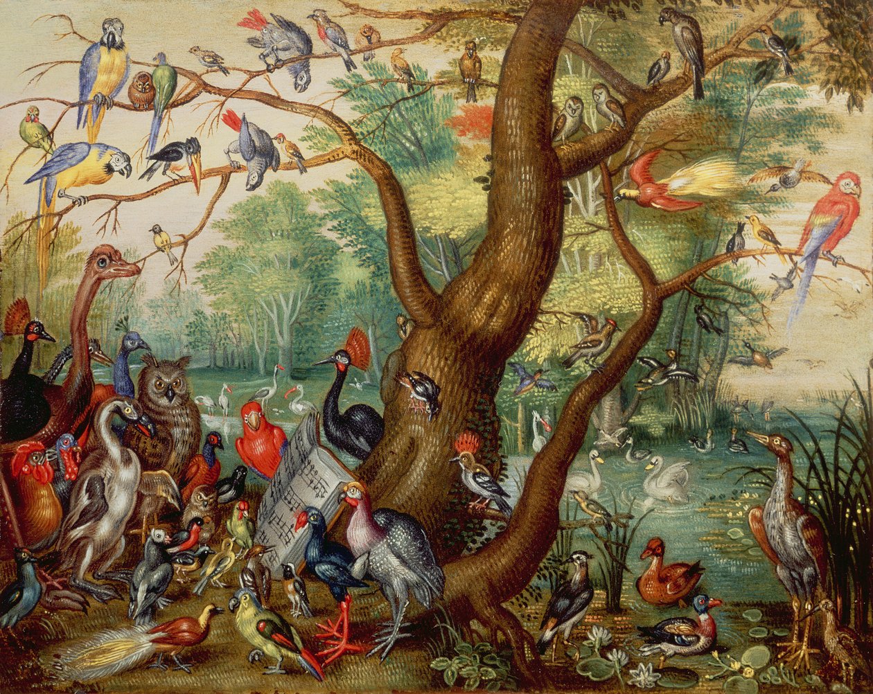 Concert van Vogels door Jan van Kessel the Elder