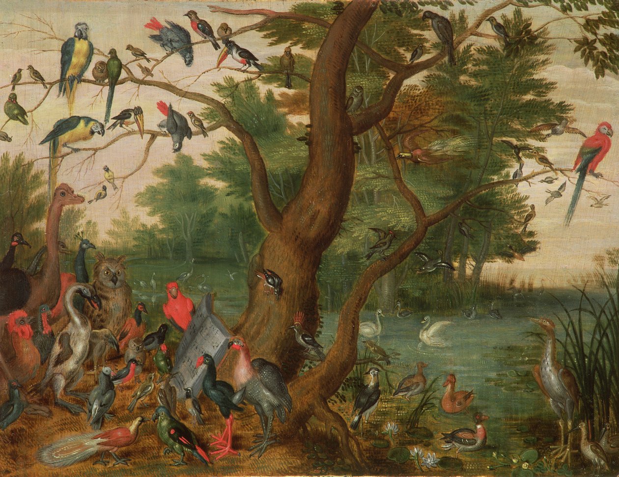 Concert van vogels door Jan van Kessel the Elder