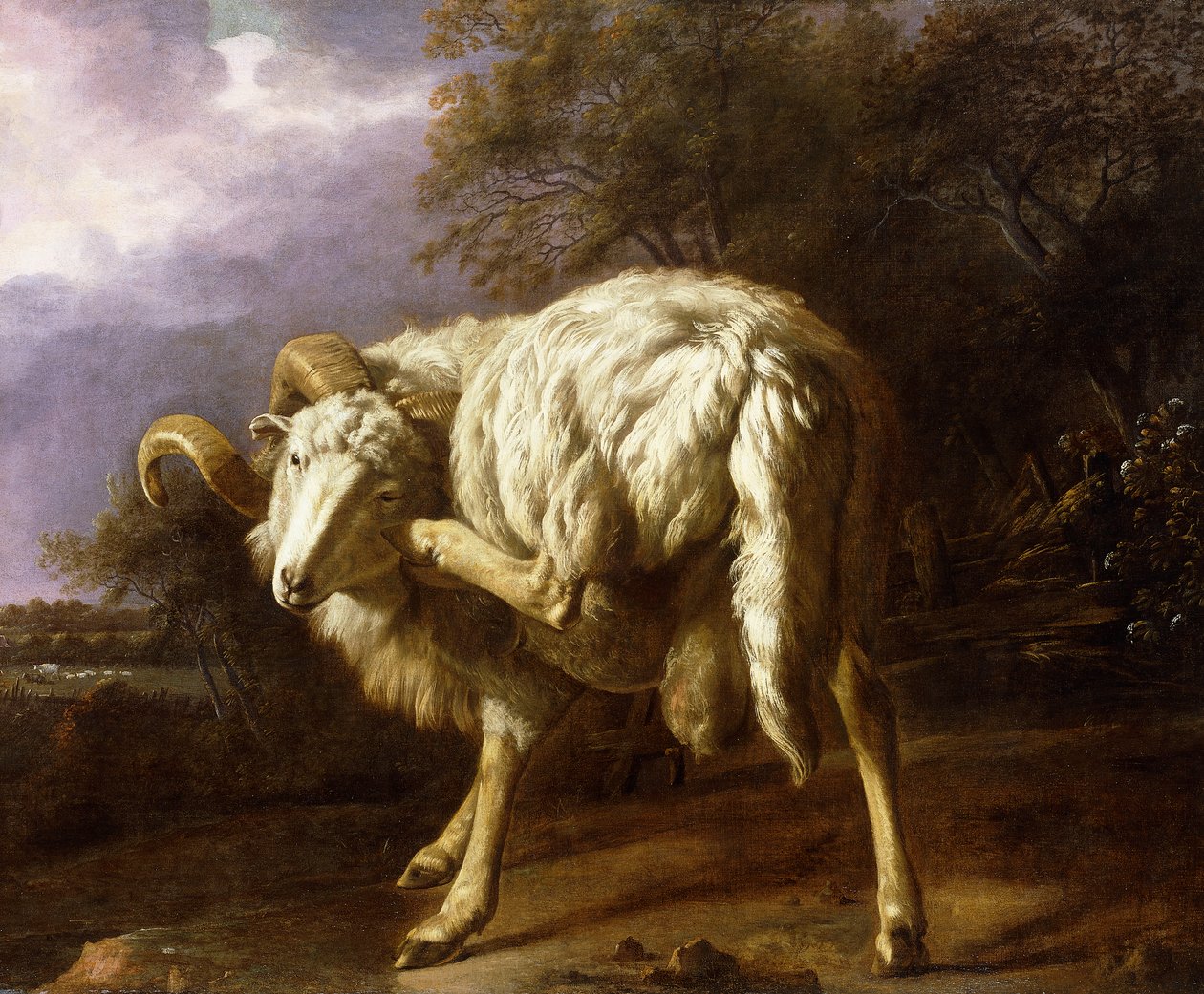 Een ram in een bebost landschap door Jan Baptist Weenix