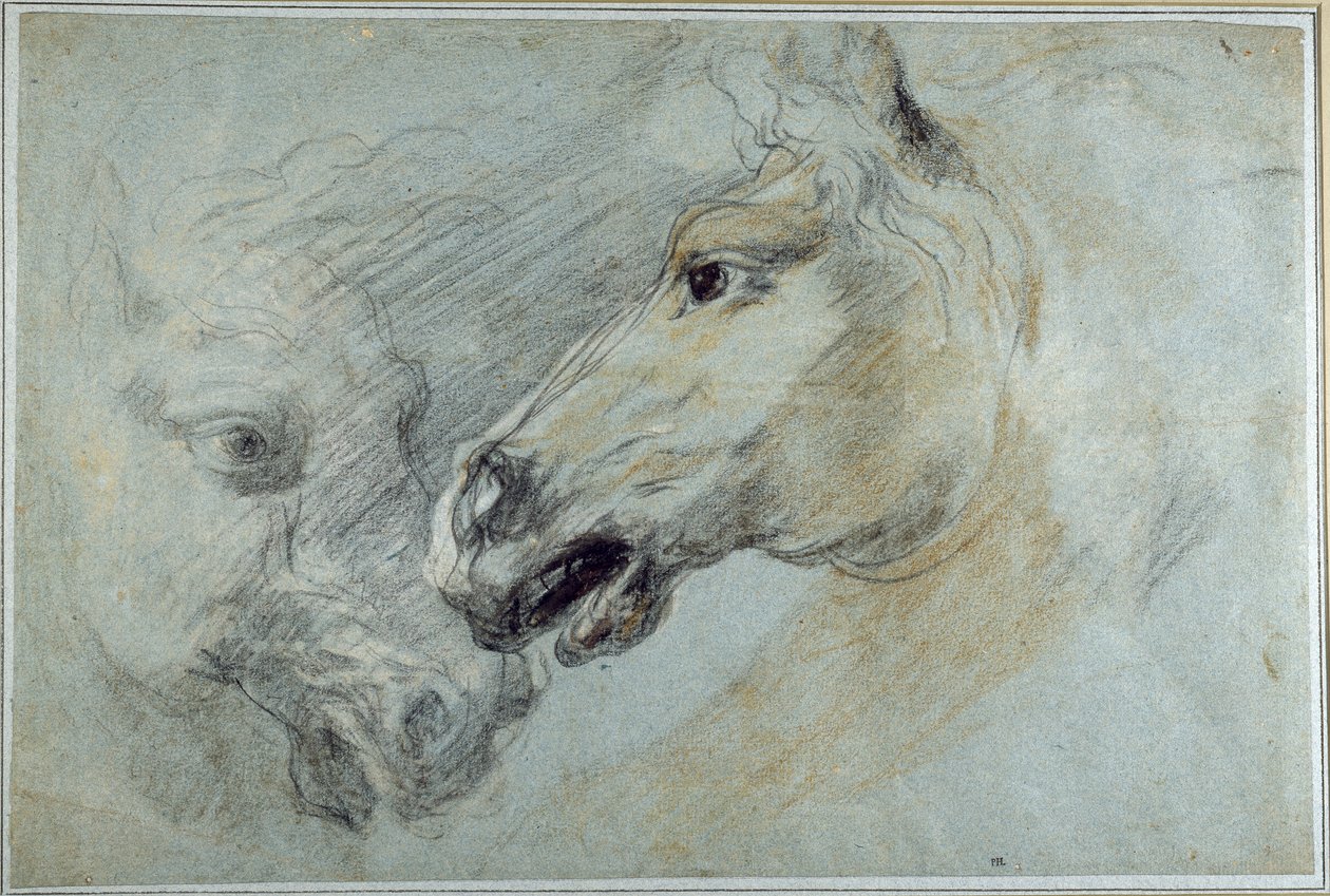 Twee studies van een paardenhoofd door Jan Boeckhorst