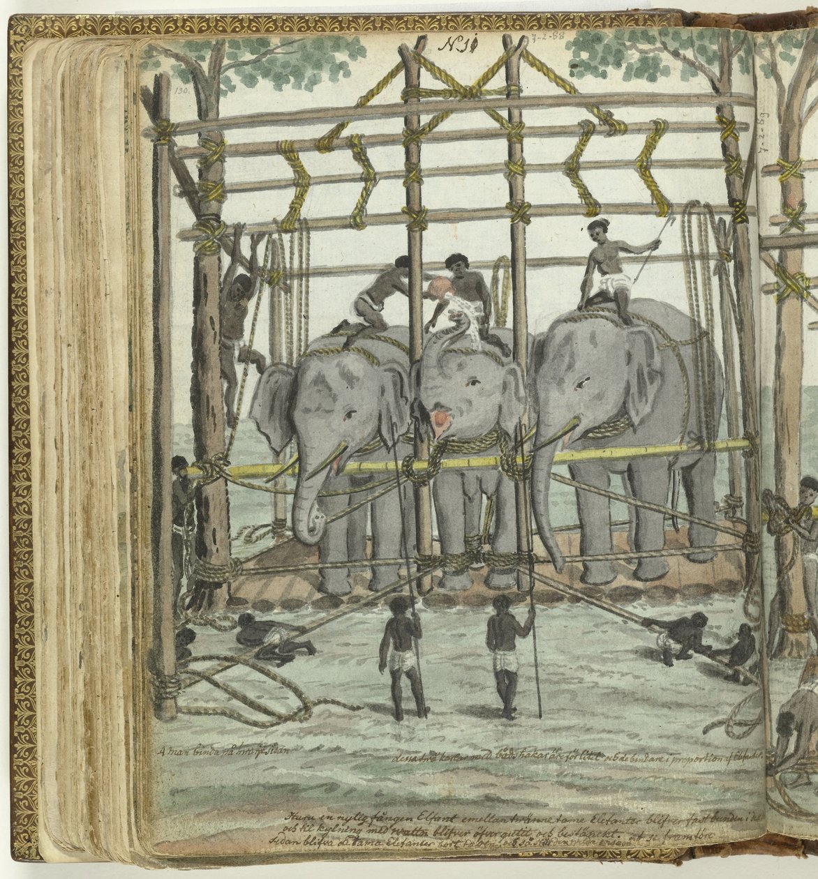 Temmen van een olifant door Jan Brandes