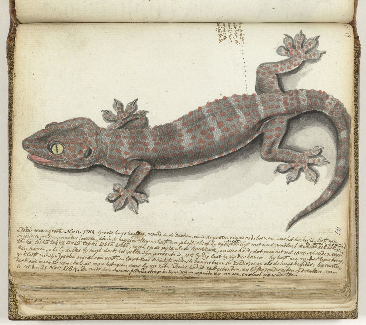 Tokeh door Jan Brandes