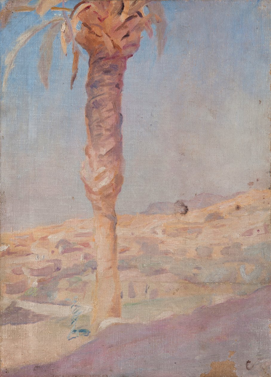Spanje (Crevillente) door Jan Ciągliński