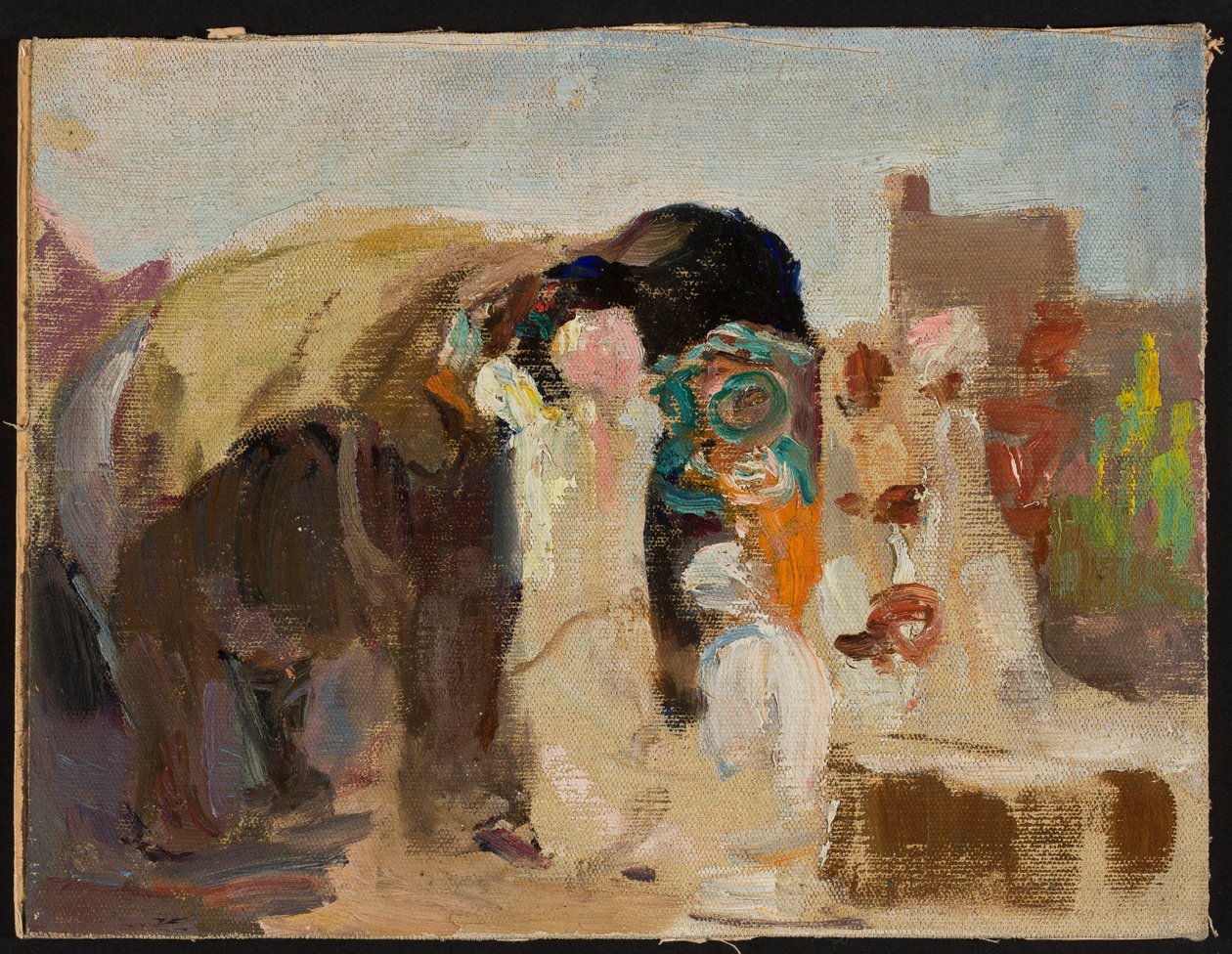 Jaipur - een olifant beschilderen. Van een reis naar India door Jan Ciągliński