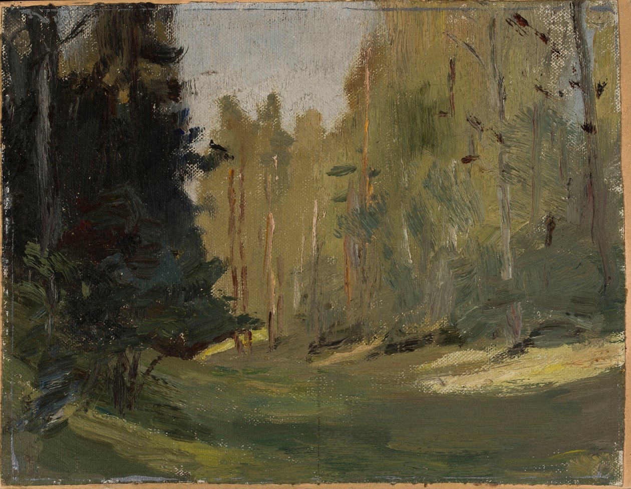 Mariino - Open plek in het bos door Jan Ciągliński