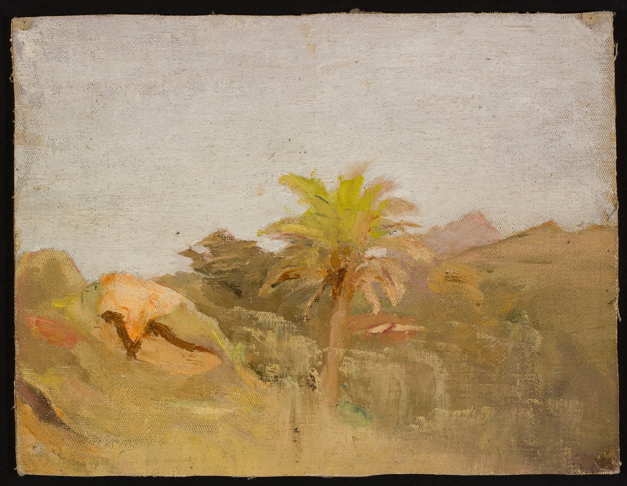 Palme auf Ceylon. Aus einer Reise nach Indien door Jan Ciągliński