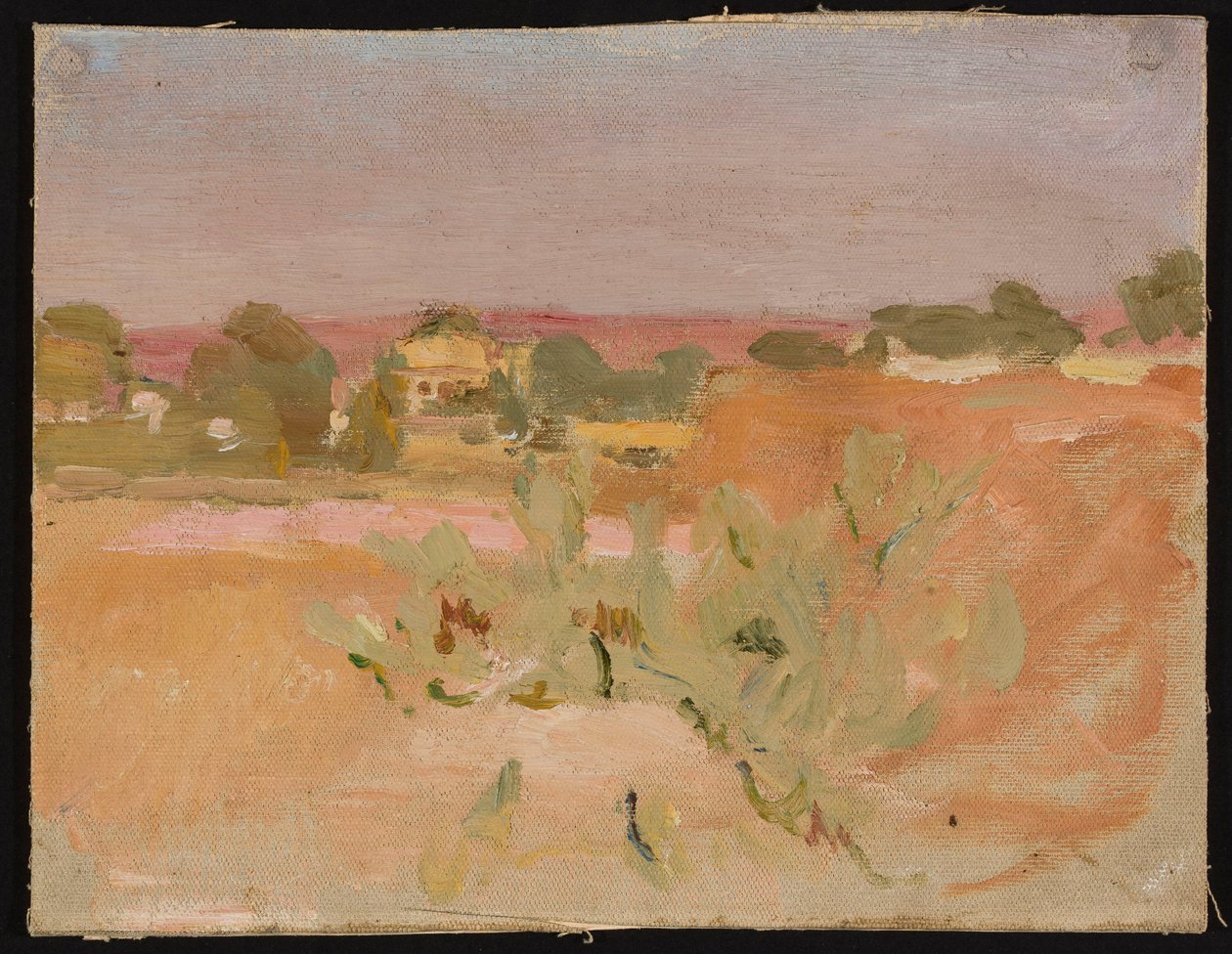 Rosa Landschaft mit Kakteen. Aus einer Reise nach Indien door Jan Ciągliński