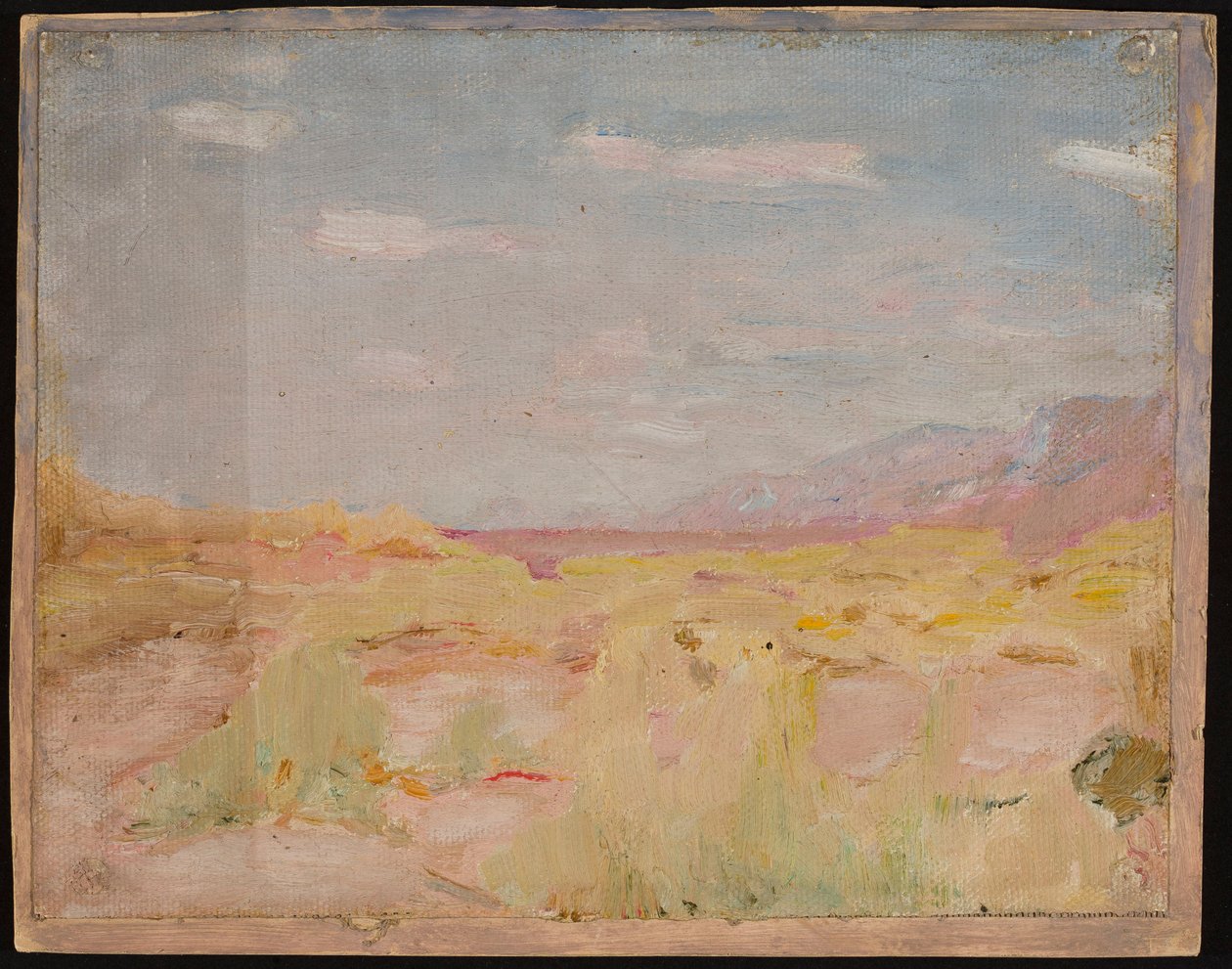 Steppe (Transkaspische regio). Van een reis naar Turkestan door Jan Ciągliński