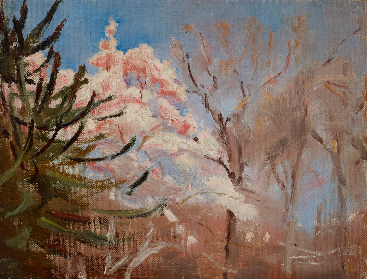 Zander (Lente) door Jan Ciągliński