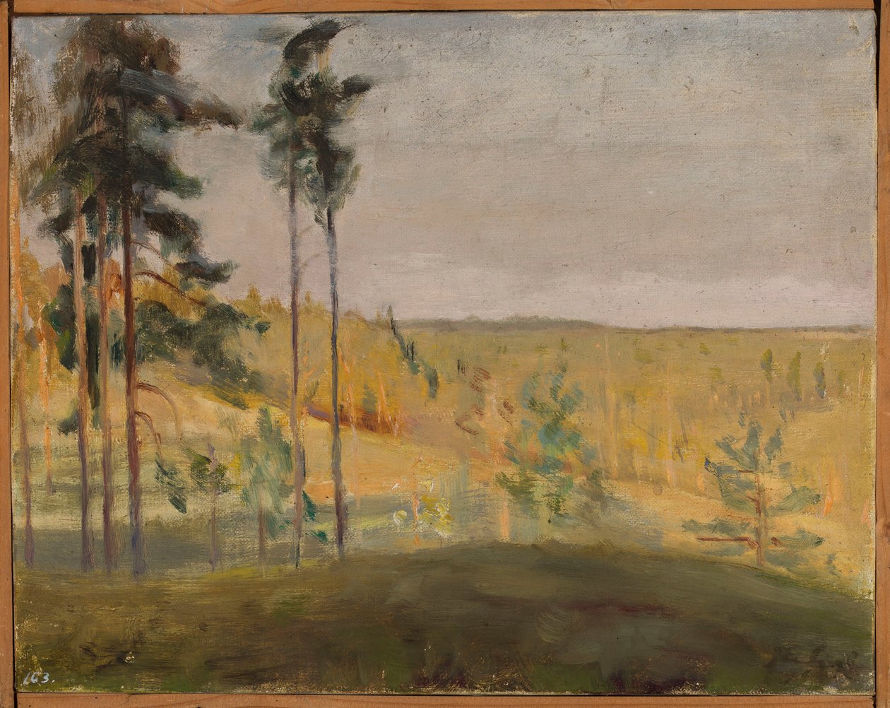 Terioki - Finland door Jan Ciągliński