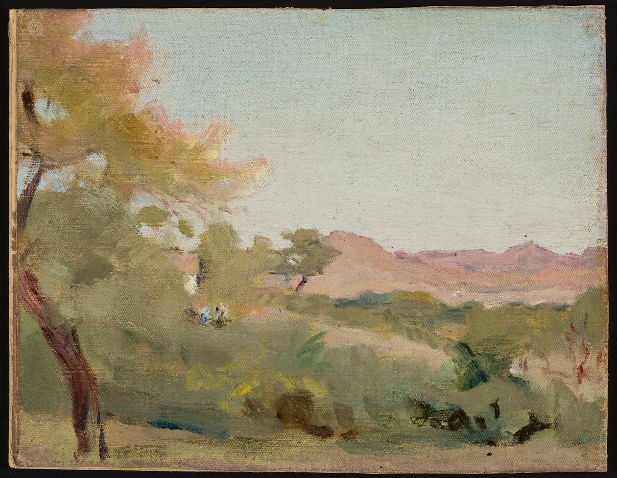 Udaipur - Indiaas landschap. Van een reis naar India door Jan Ciągliński