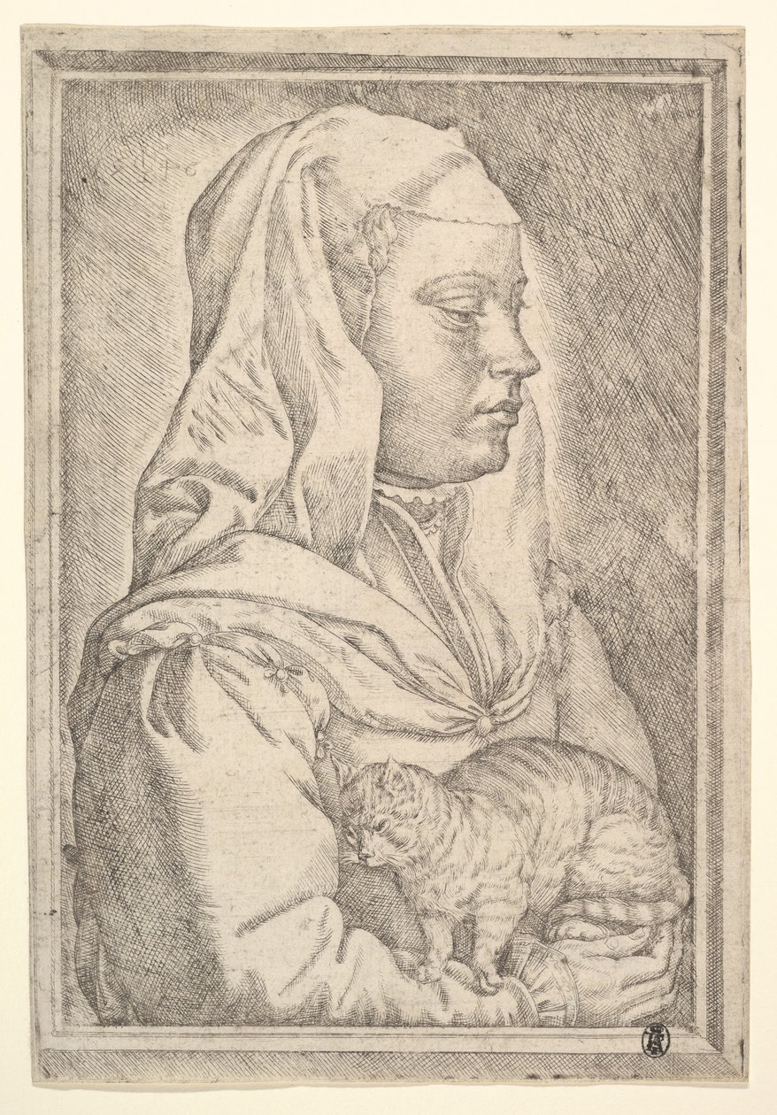 Meisje met een kat, 1546 door Jan Cornelisz Vermeyen