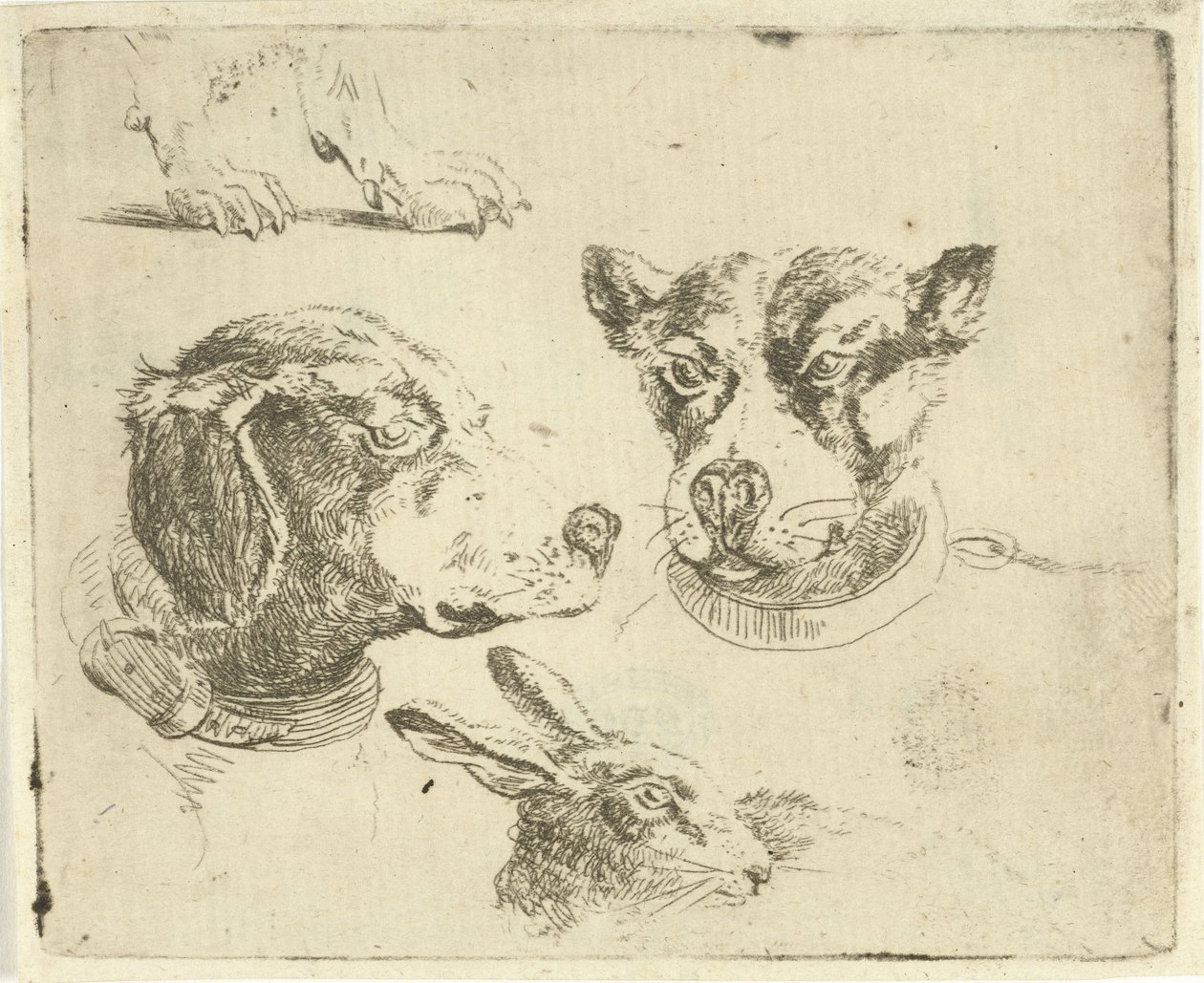 Studieblad met twee hondenkoppen, poten van hond en kop van haas door Jan Dasveldt