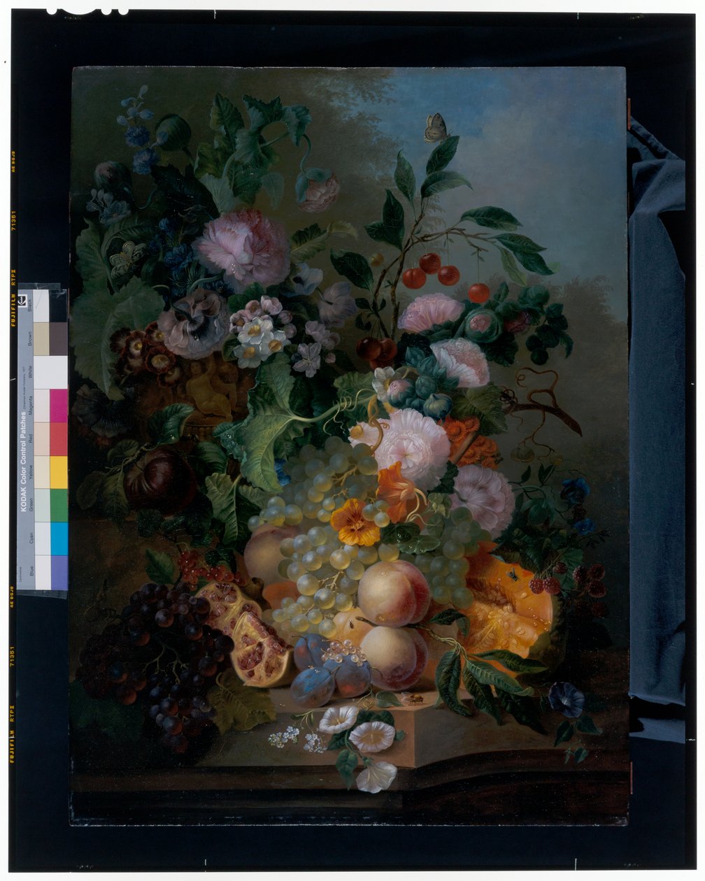 Stilleven met bloemen, peren, druiven, kersen, een meloen en vlinders door Jan Evert Morel