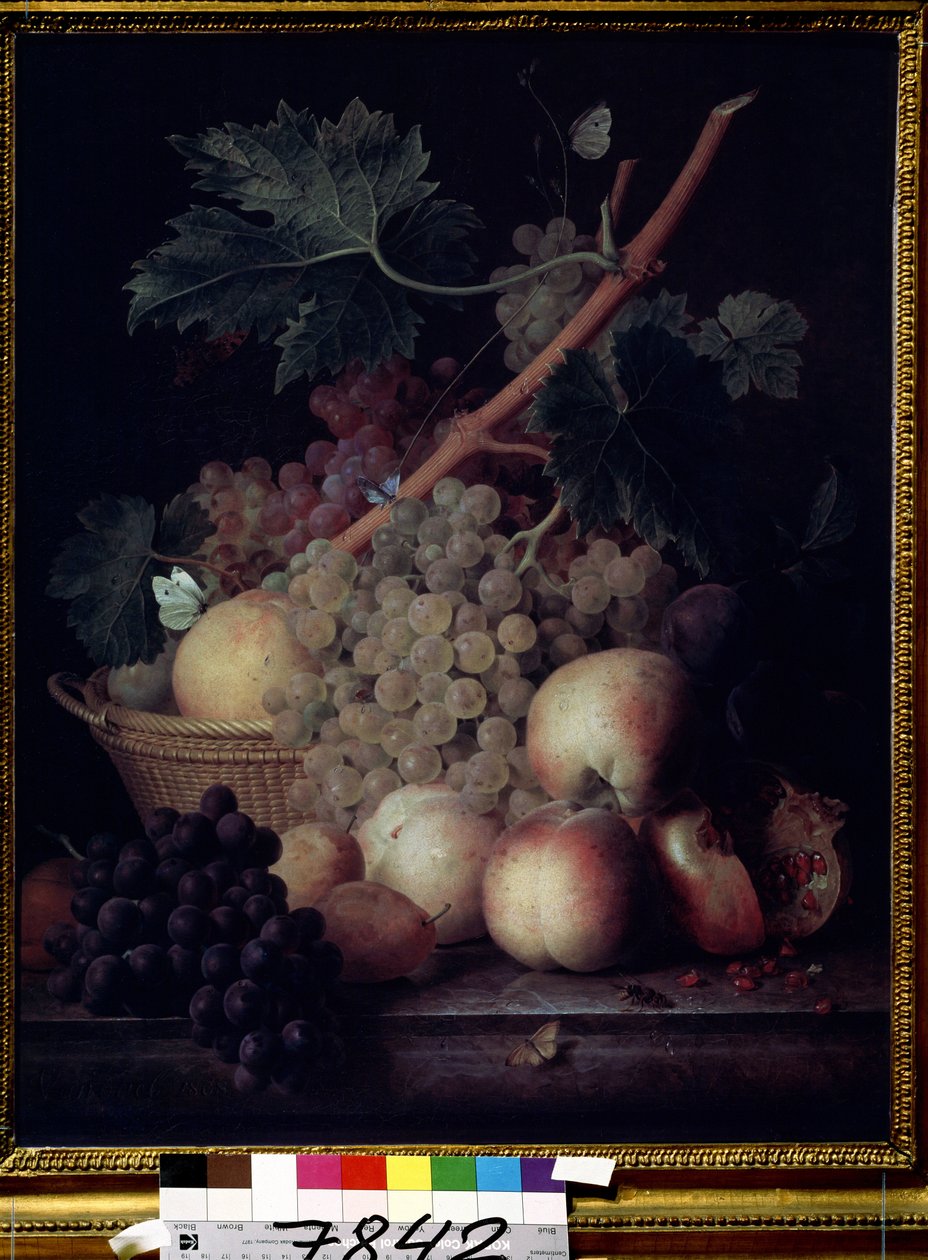 Vruchten door Jan Frans van Dael