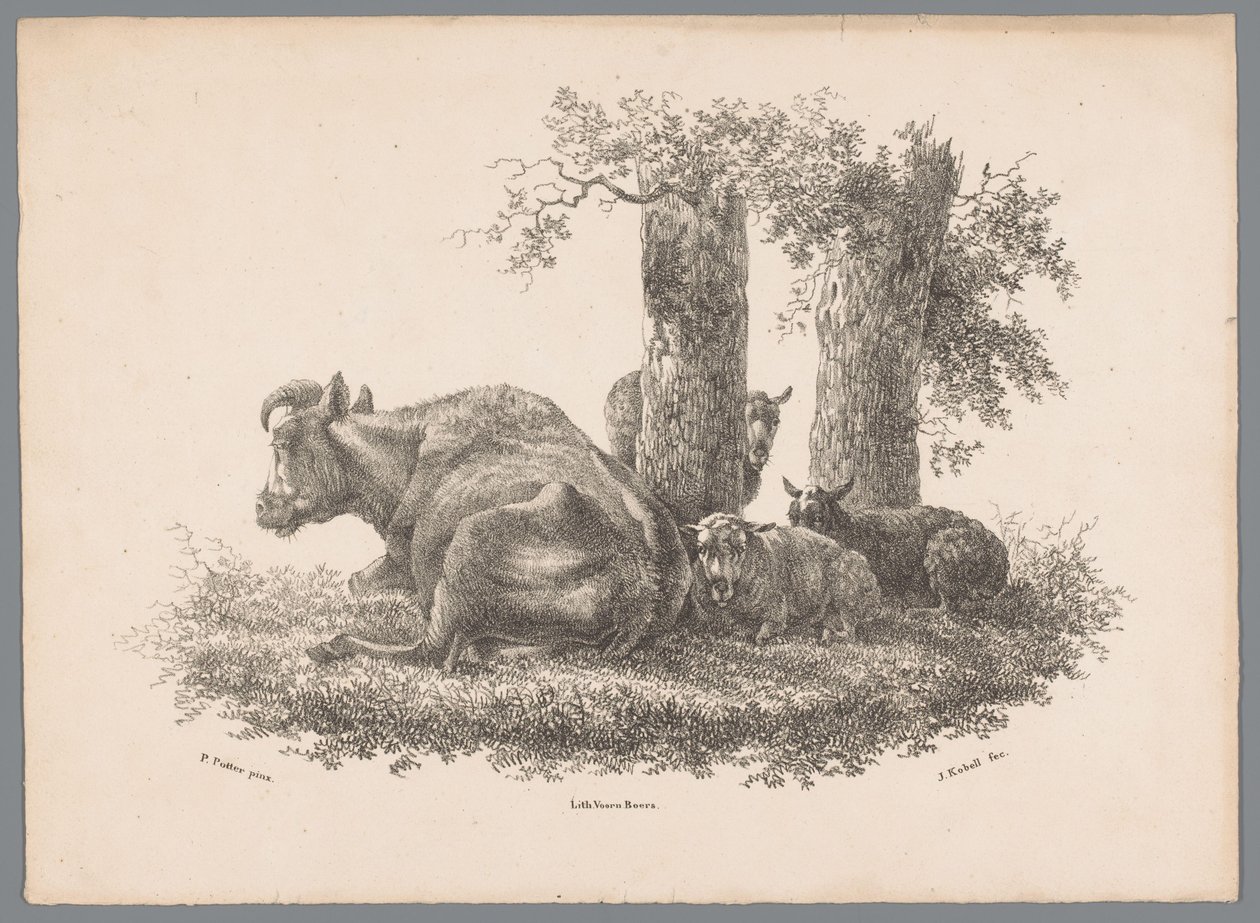 Een koe en drie schapen Beesten Studien door J. Kobell naar Paul Potter Nr. 1 (series title) door Jan Kobell (III)