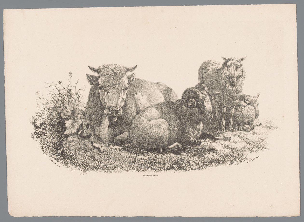 Koe, ram en twee schapen door Jan Kobell (III)
